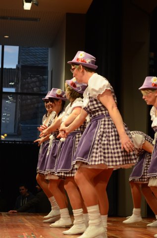 umzug simmern_140301_vb_335